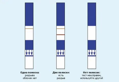 Тест полоски выделения