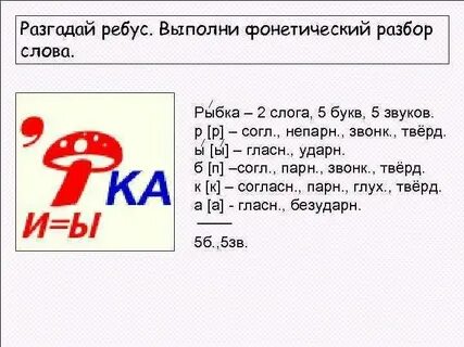 Рыбку разбор 2