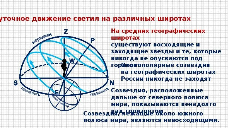 Небесный Меридиан на небесной сфере. Движение светил на различных широтах. Видимое движение звезд на различных географических широтах. Небесные координаты.