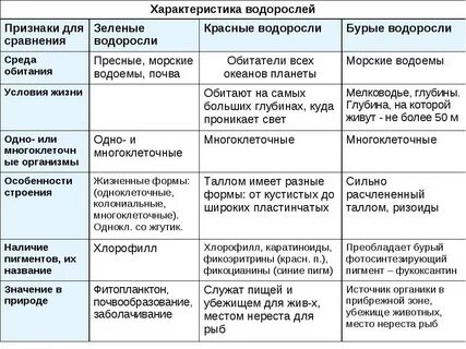 Сравнительная характеристика классов ракообразные и паукообразные