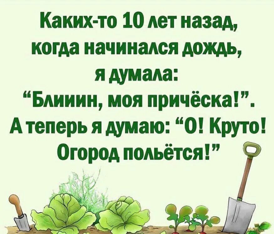 Ввиду прошедших дождей урожай обещает быть хорошим