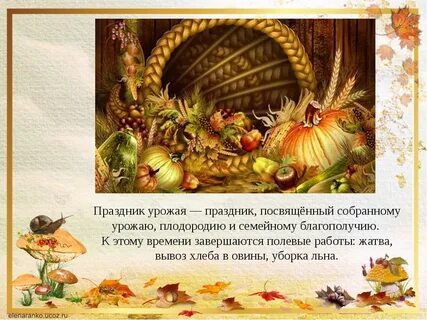 Есть слово урожай