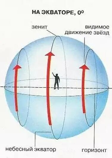 Наблюдение суточного движения звёзд на экваторе. Видимое движение звезд на экваторе. Наблюдение суточного движения звёзд в средних широтах. Видимое суточное движение звёзд на разных широтах. Направление движения звезд