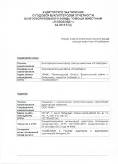 Аудиторское заключение отчетности