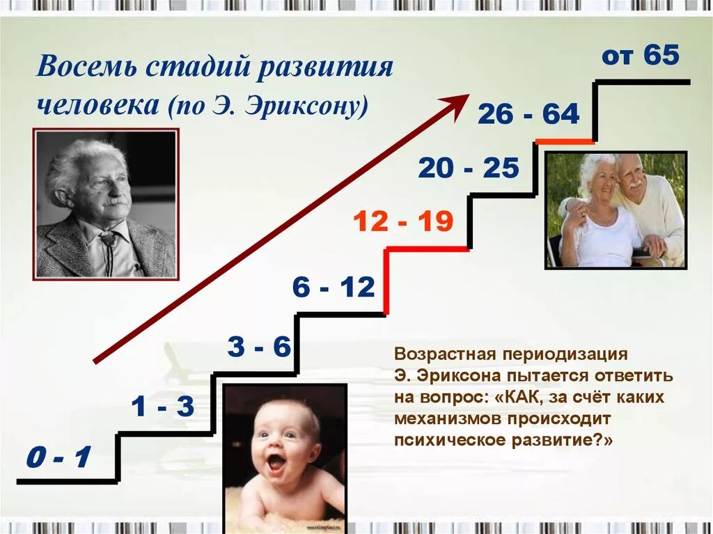 Что есть возраст человека. 8 Стадии развития личности по э Эриксону. Этапе жизни человека (по э. Эриксону).. Возрастная периодизация Эриксона. Возрастные этапы развития человека.