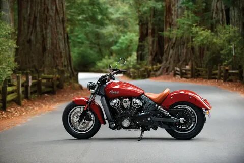 Indian scout