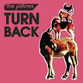 Turn to back to you