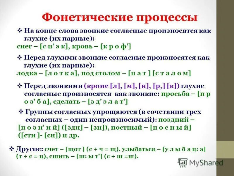 Фонетические процессы. Фонетические процессы в области гласных и согласных звуков. Фонетические процессы в слове.