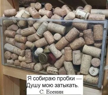 Есенин пробками душу