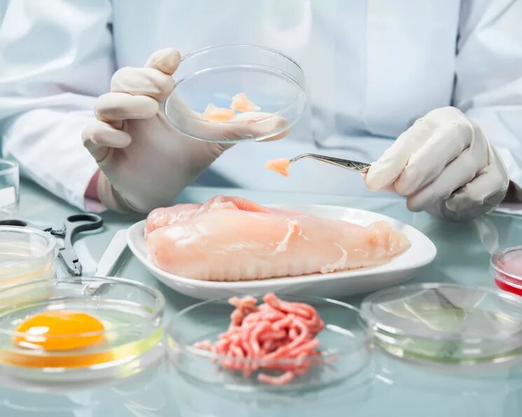 Качество мяса рыбы. Контроль качества пищевой продукции. Безопасность продуктов. Пищевая безопасность продуктов питания. Лабораторные исследования мяса.