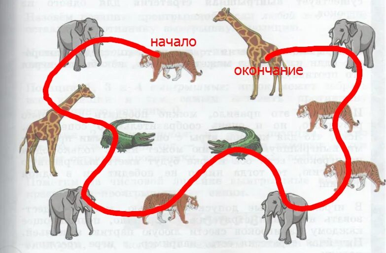 Представление ученые начинают звери составь предложение. Задачи про животных. Звериное начало. Задачи про животных 1 класс. Задачи про животных 5 класс.