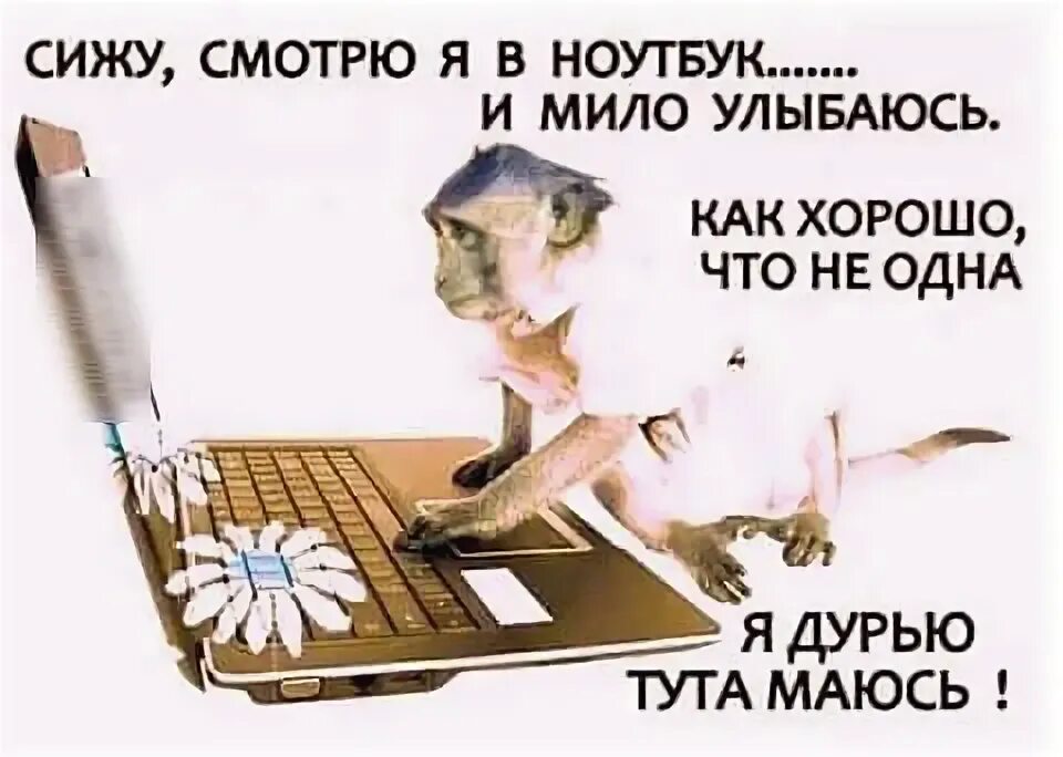 Посмотрим как сидеть будем. Сижу смотрю я в ноутбук и мило улыбаюсь. Сижу, смотрю и мило улыбаюсь. Дурью маяться. Смотрю в ноутбук и улыбаюсь не одна я тут дурью маюсь картинки.