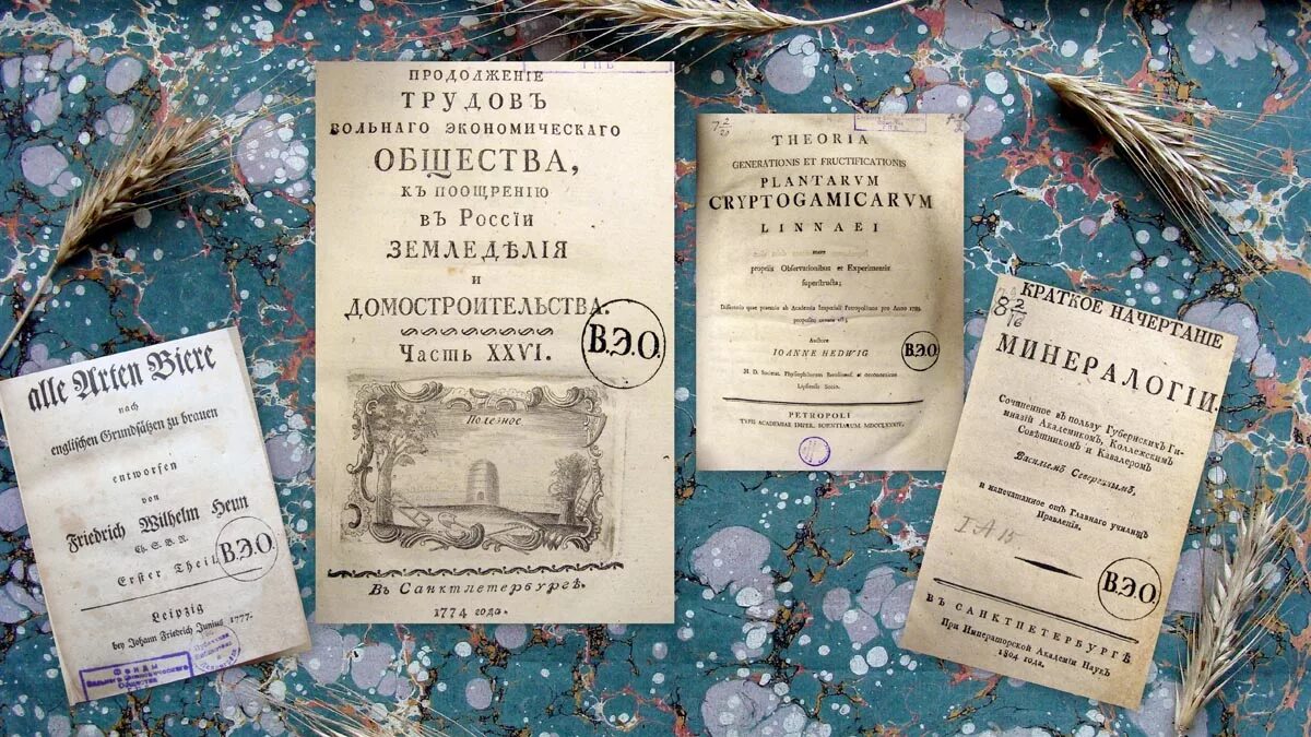 Вольное экономическое общество России. Учреждение дворянского вольного экономического общества. Императорское Вольное экономическое общество. 1765-Учреждение вольного экономического общества.