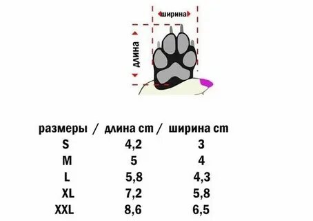 Ботинки для собак размеры