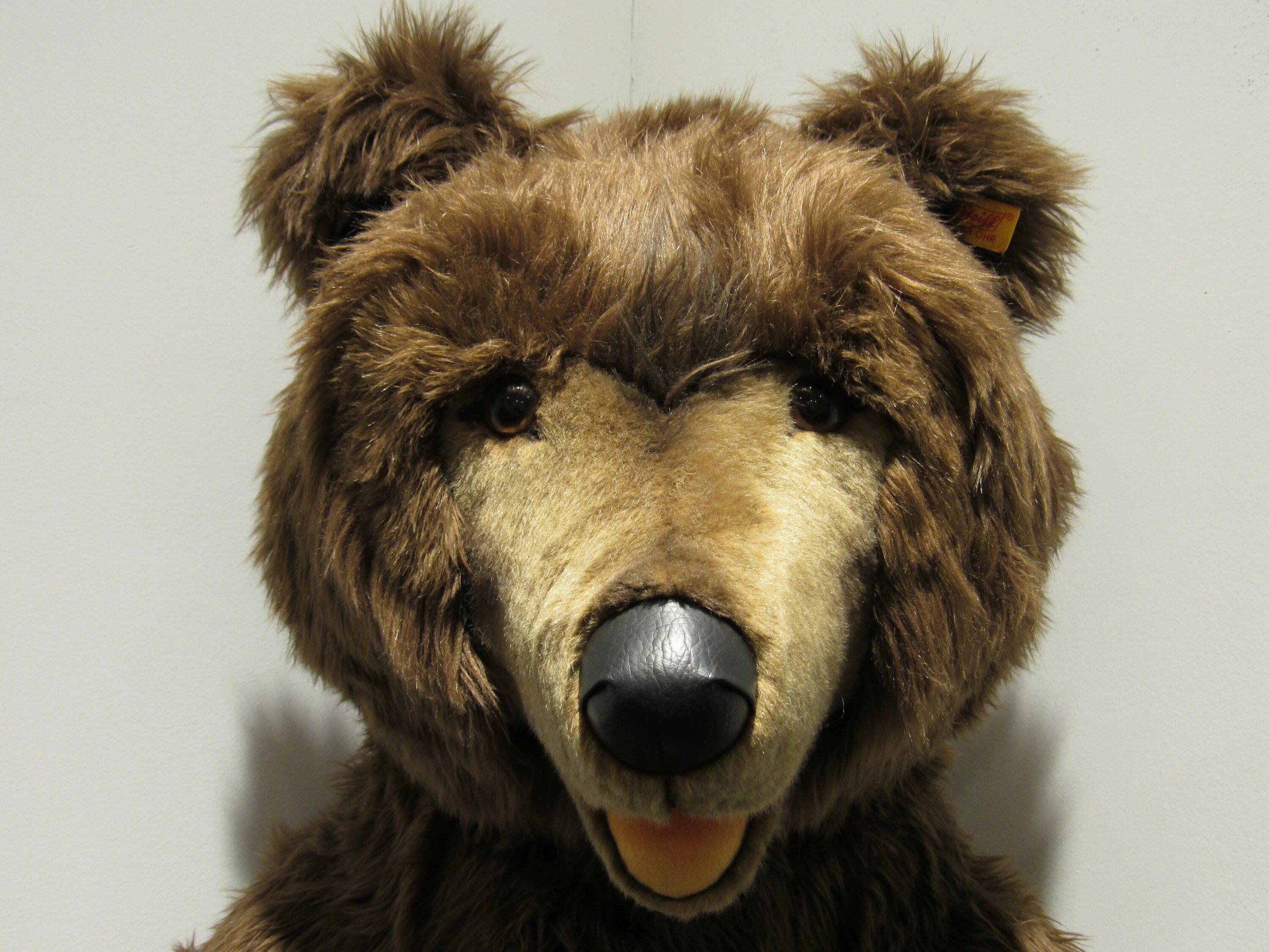 Какой нос у медведя. Шапка "бурый медведь". Голова медведя. Морда медведя. Голова игрушечного медведя.