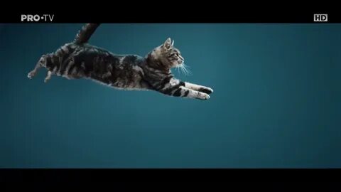 Видео perfect