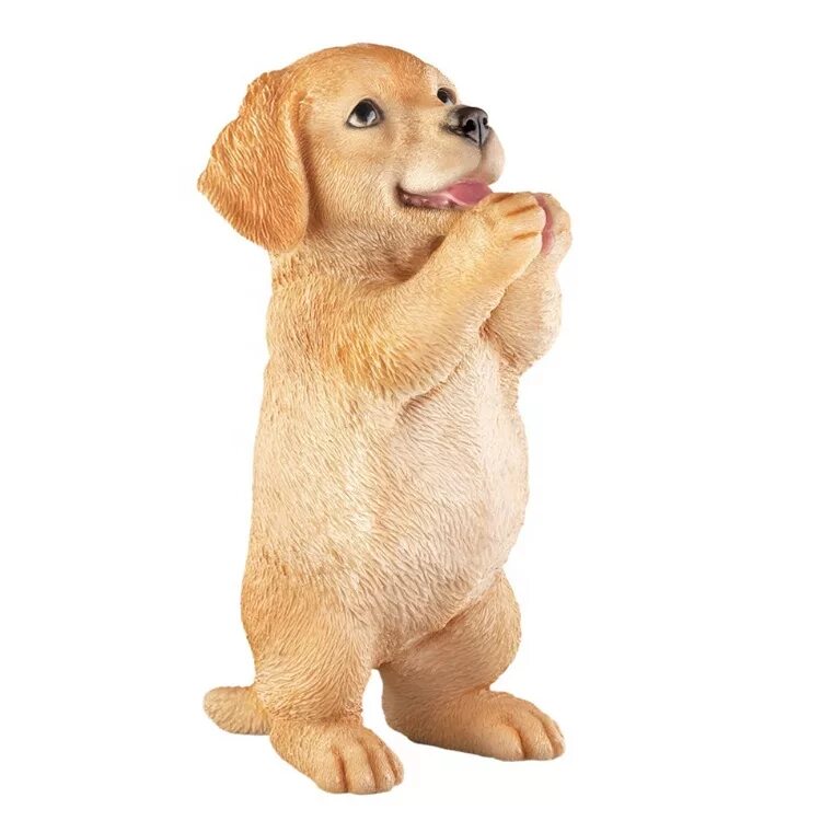 Собака молится пес. Собака молится. Собаки молятся. Собака молится смешная. Собаки молятся.