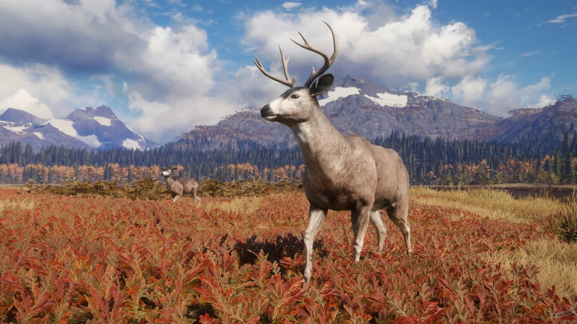 The hunt call. Thehunter: call of the wild. the hunter call of the wild обои. thehunter call of the wild stream. hunting call of the wild.