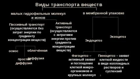 Выберите вид транспорта веществ