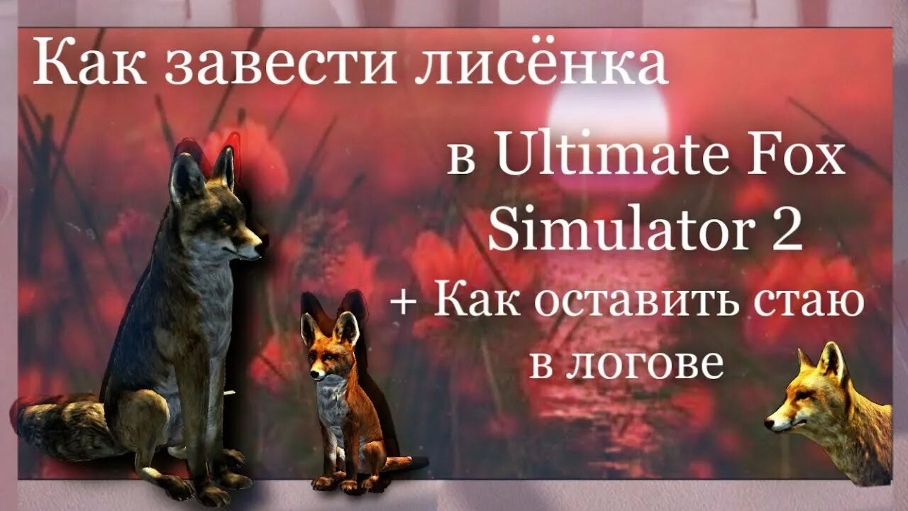 Ультимейт Фокс симулятор. Ultimate Fox Simulator 2. Симулятор лисы дух севера. Ultimate Wolf Simulator 2 как завести волчат. Ultimate fox