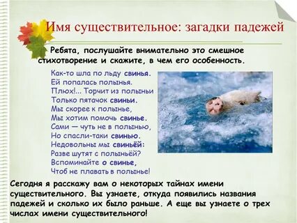 Весной по льду свинья