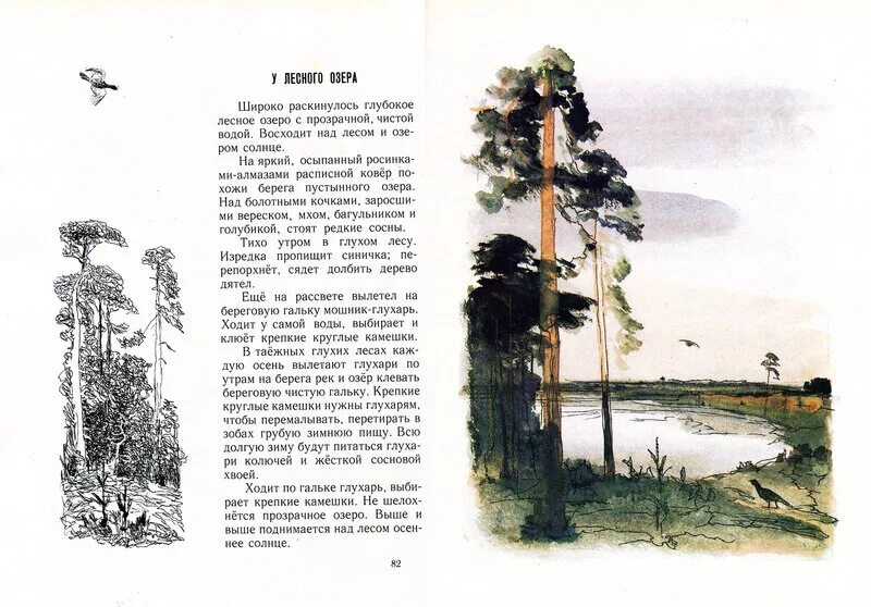 Соколов микитов у лесного озера рассказ. Выпишите предложение в котором нужно поставить -. Полистовский заповедник леса. Предложение в котором нужно поставить тире. Над болотными кочками стоят редкие сосны письмо.