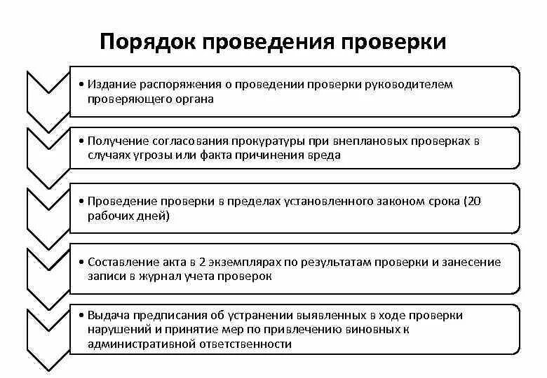 Бизнес процесс ревизии. Система обеспечения пожарной безопасности. Система проведения проверок. Блок схема проведения испытаний. Система проведения проверок.