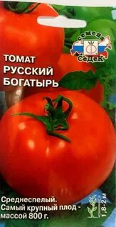 Томат богатырь характеристика