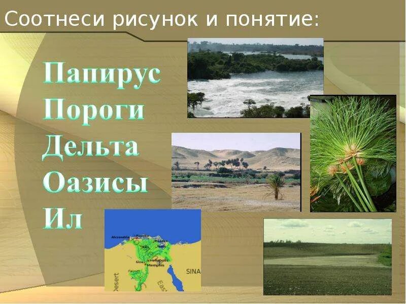 Что такое дельту в истории 5 класс. Что такое дельту в истории 5 класс