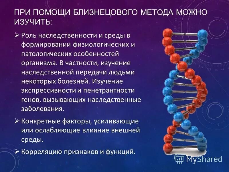 Какую функцию выполняет средний. Какую функцию выполняет средний