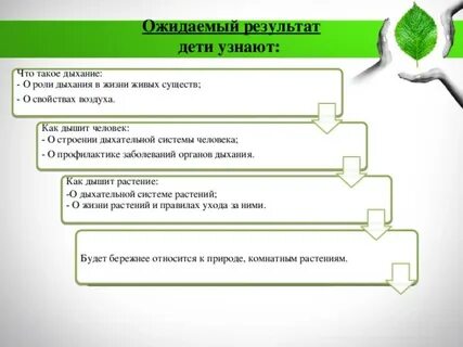 Роль дыхания в жизни растений