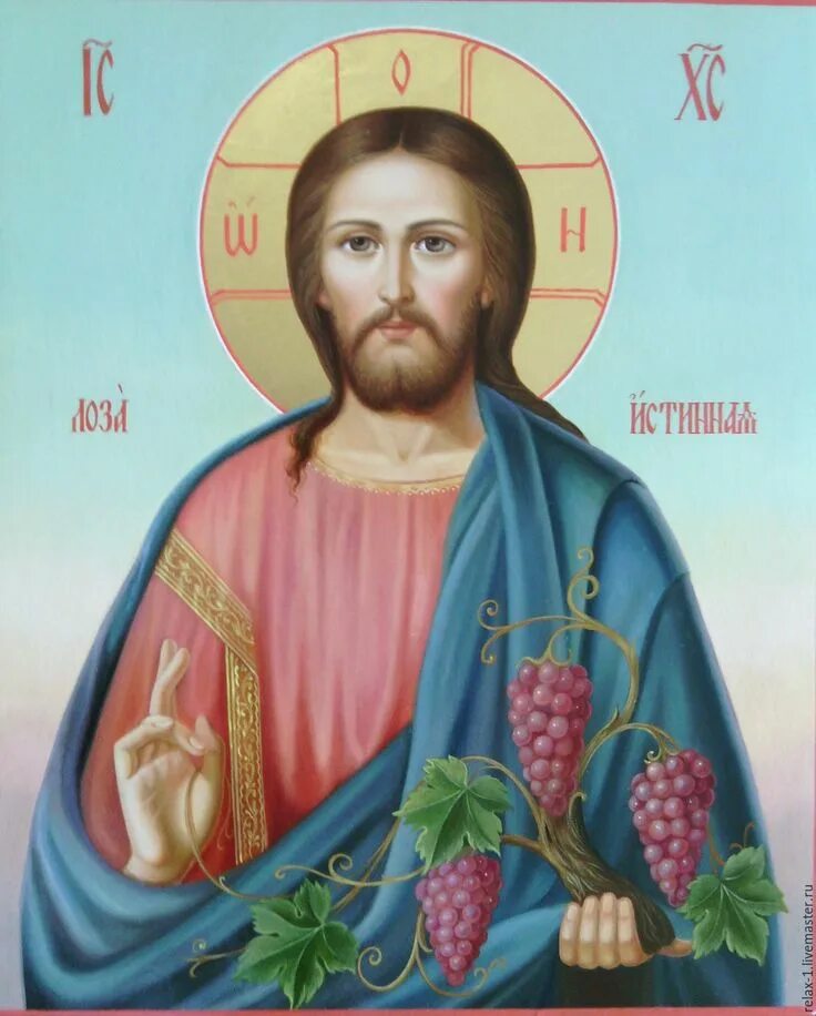 Икона иисуса христа виноградная лоза. Икона господа бога иисуса христа. Иисус христос фото. Господь лоза истинная икона. Христос виноградная лоза икона.