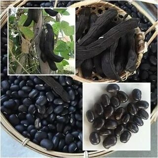 Черное семечко внутри