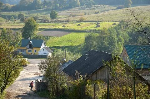 Село каров