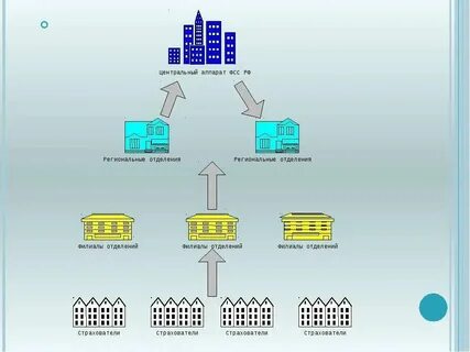 Органы управления фондом социального страхования