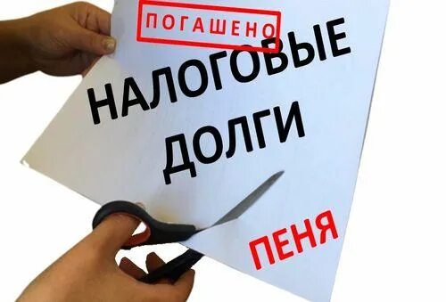 Будет ли амнистия налогов в 2025 году. Налоговая амнистия. налоговая амнистия картинки для презентации. налоговая амнистия карикатура. помилование картинки.