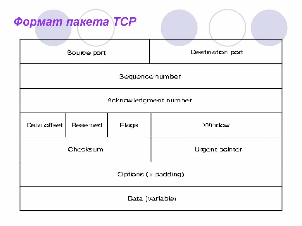 Доставку каждого отдельного пакета выполняет протокол. Протокол ТСР. Форматы пакетов. Протокол ТСР картинки. Формат пакета IP презентация.