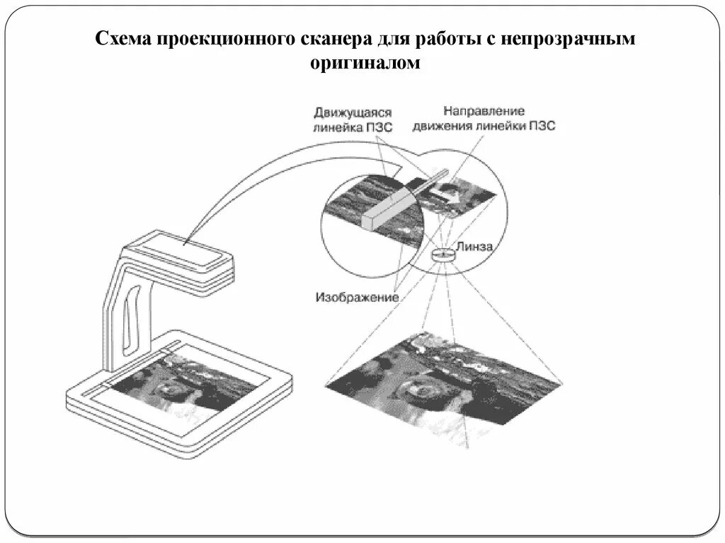 Включается сканер. Схема устройства проекционного сканера. Проекционный сканер принцип работы. Изобразите схему устройства проекционного сканера.. Сканеры ДВС схема.