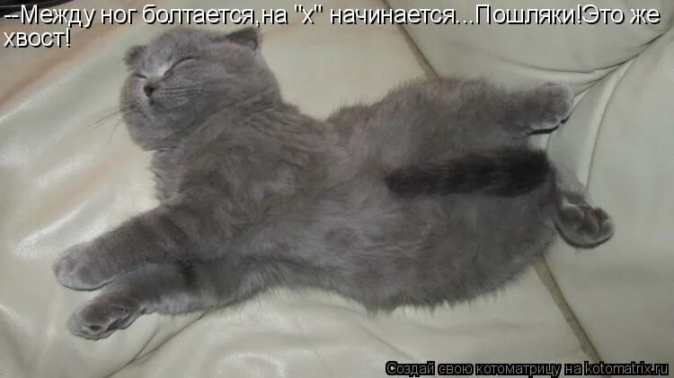 Между ног болтается на х начинается. Между ног болтается на х начинается