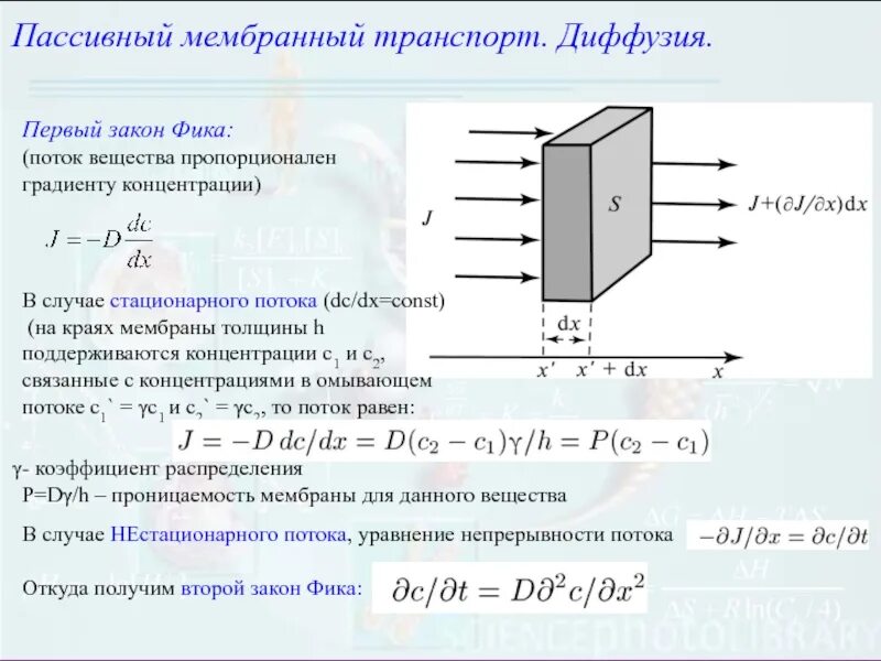 Формула фика. Закон фика для диффузии формула. Первый закон фика. Второй закон фика. Закон фика вывод.