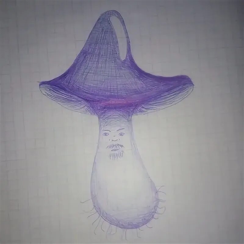 Грибы ленинградской области. Съедобные грибы лесов ленинградской области. Съедобные грибы ленинградской области белый гриб. Съедобные грибы ленинградской области. Из слов составить название грибов.