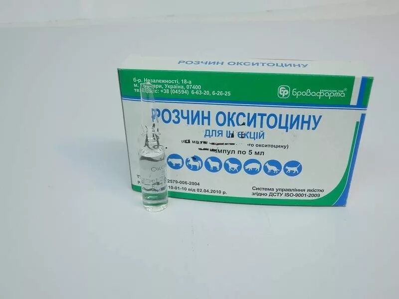Как колоть окситоцин. Окситоцин р-р д/ин 10 ед 10 мл. Окситоцин р-р д/ин. 5ме/мл амп. 1мл n5. Окситоцин 10 ед для коров. Окситоцин 10 ед для животных.