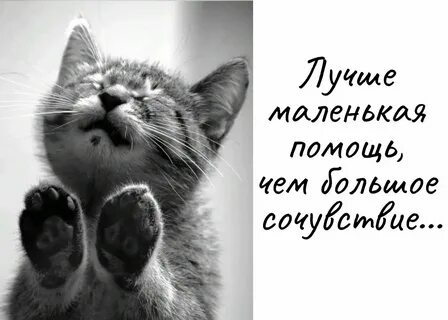Прости я полюбил другую