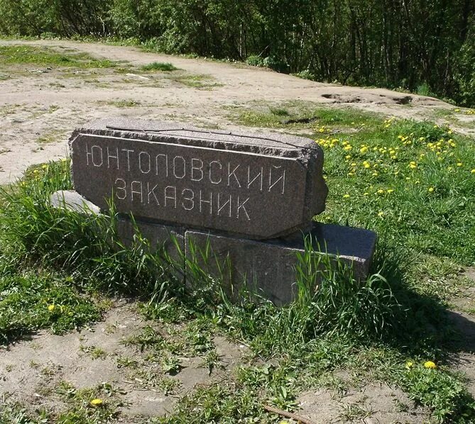 Эко тропа сестрорецкое болото. Новоорловский лесопарк спб. Природный заказник санкт петербург. Заказник гладышевский спб. Экотропа сестрорецкое болото.