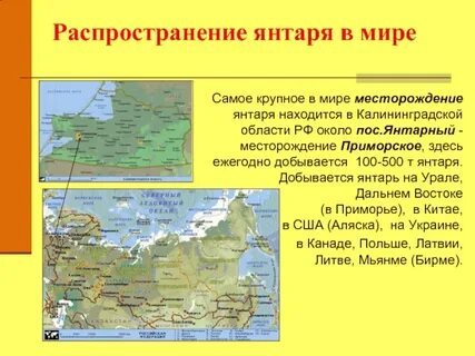 Янтарный край регион