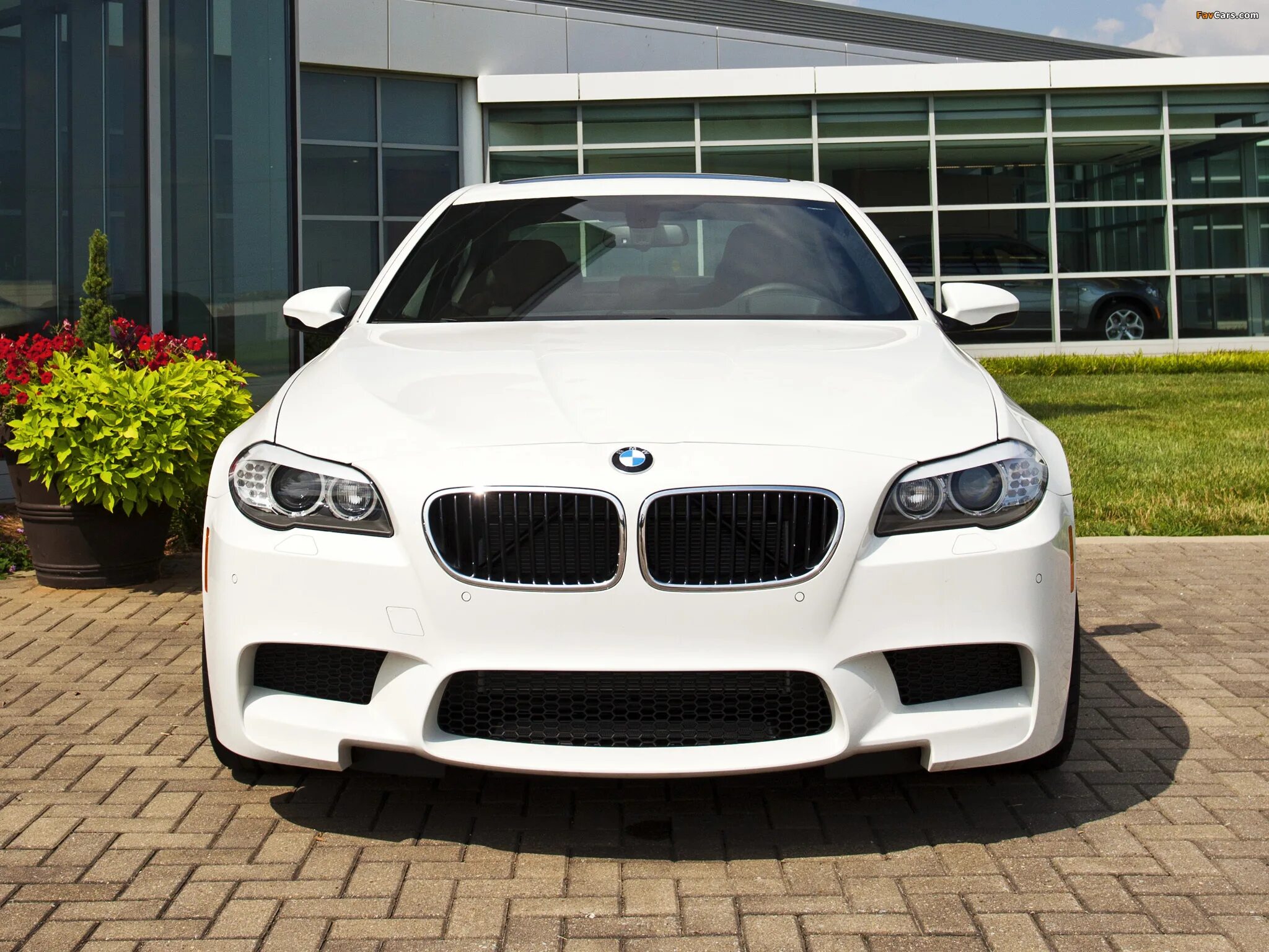 Bmw f10 m. БМВ м5 ф10. БМВ m5 f10. БМВ м5 ф10 белая.