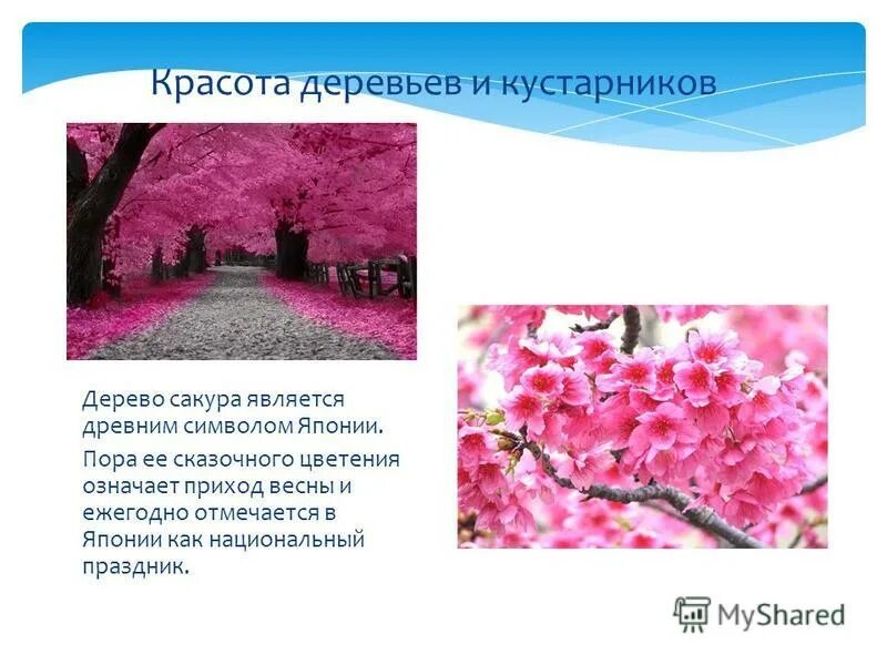 Цветень значение 2 класс. Цветень значение 2 класс. Цветень значение 2 класс. Значение слова кормовистый. Март с водой апрель с травой а май с цветами.