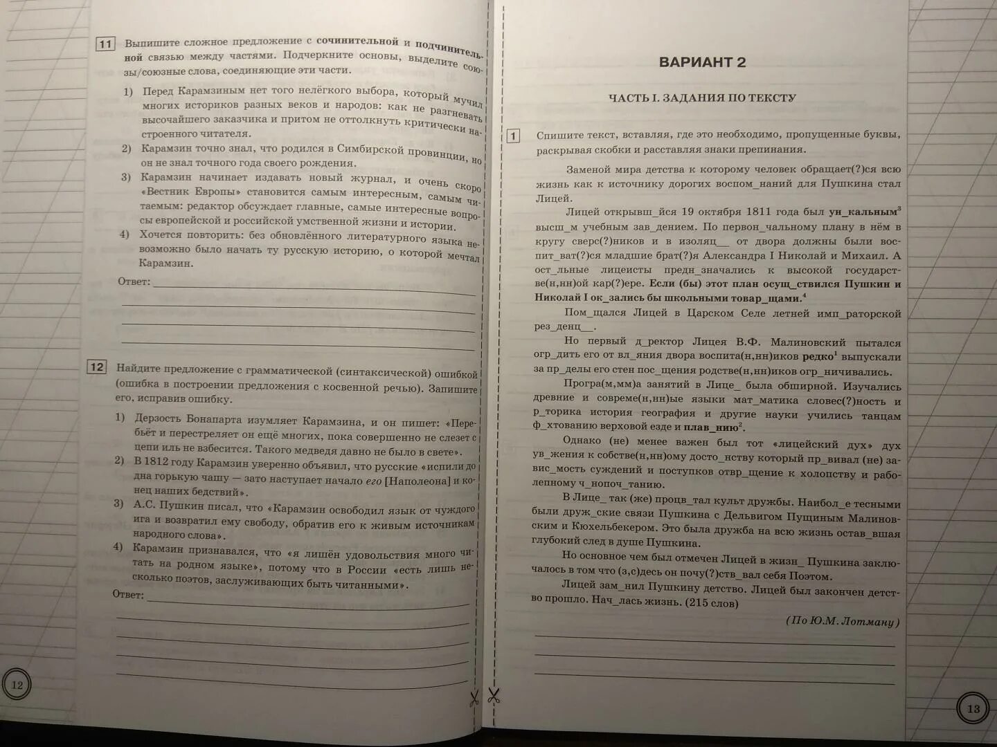 Впр русский язык 9. ВПР по русскому языку 9 класс. ВПР 8 класс скрипка ответы.