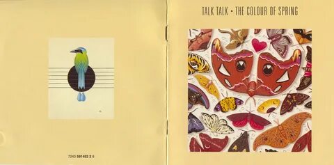 Talk talk минус