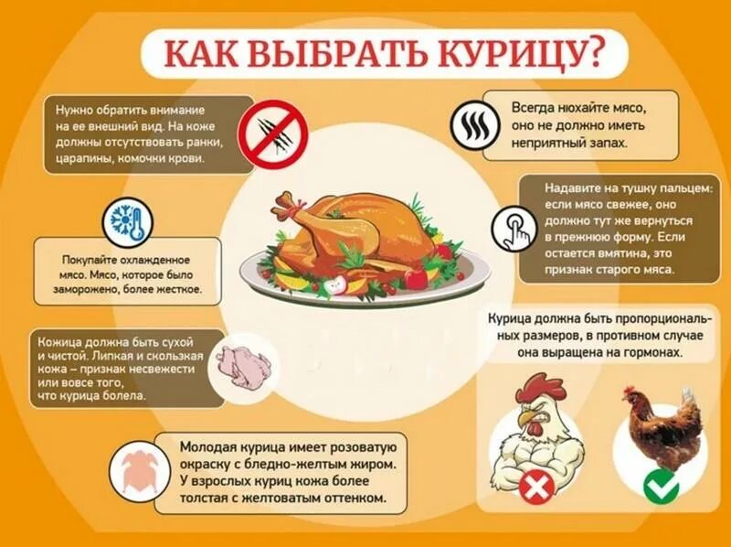 Можно ли есть куриное. Чем полезна курица. Как выбрать курицу. Полезное и вредное мяса курицы. Что полезного в мясе у курицы..